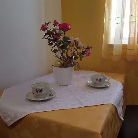 Brizic Guest house 3*